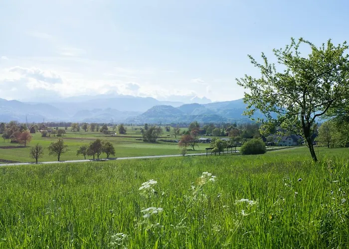 Funky Soul アパート ゴレンスカ地方